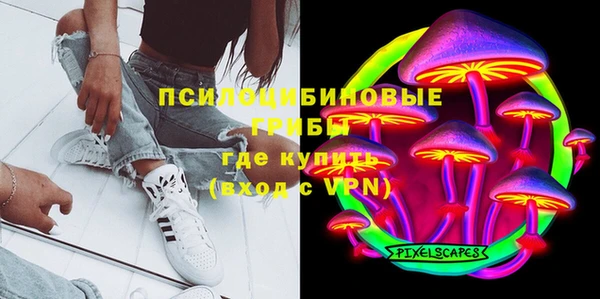 дмт Аркадак