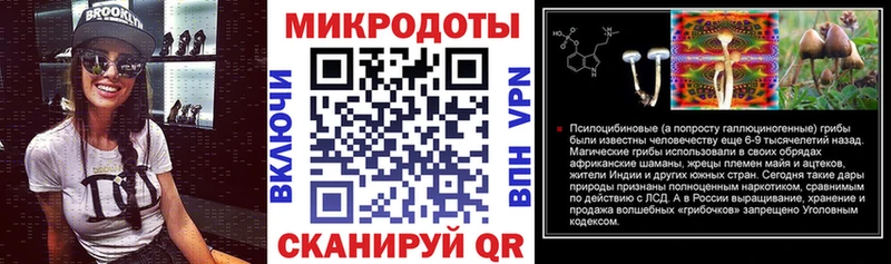 Купить  Бутурлиновка  Псилоцибиновые грибы Psilocybe 
